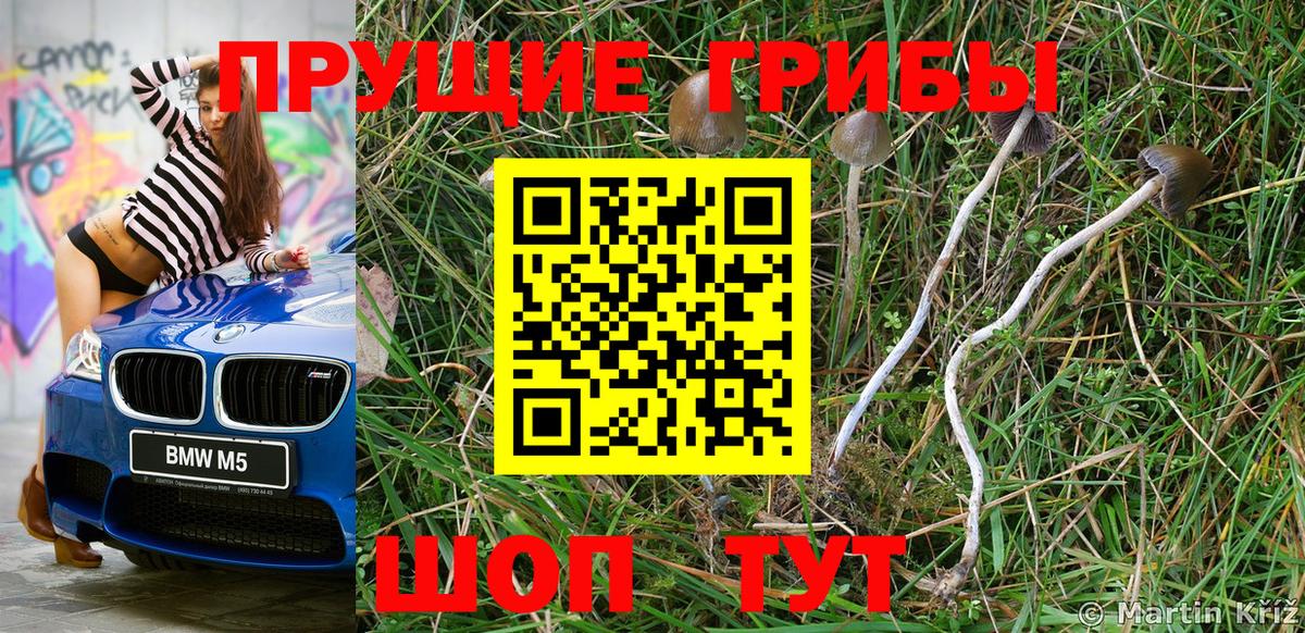 Лыткарино  Псилоцибиновые грибы мицелий  Вход с VPN  Галлюциногенные грибы мицелий 