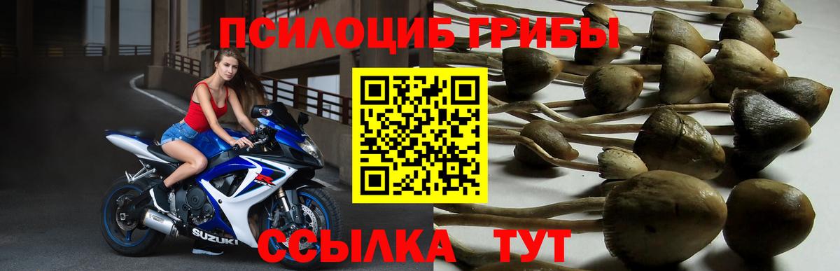 Псилоцибиновые грибы мухоморы Лыткарино